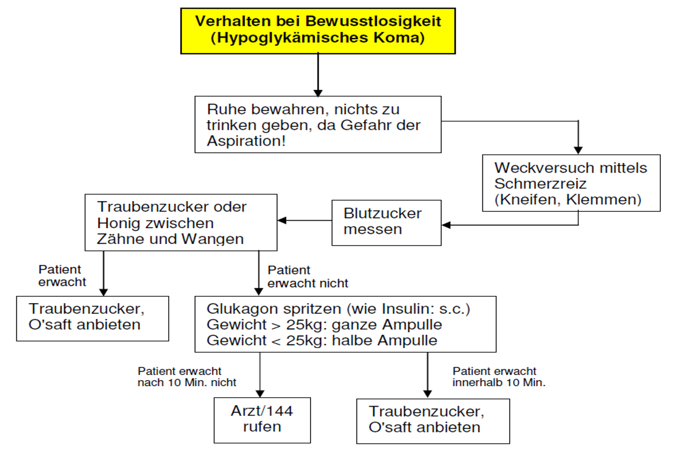 Diabetes Elterninformation Kispi Wiki