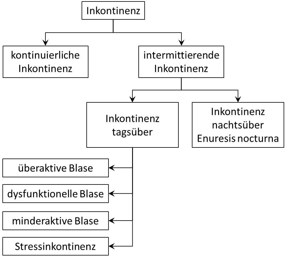 Kispi Wiki Enuresis nocturna und Inkontinenz tagsüber