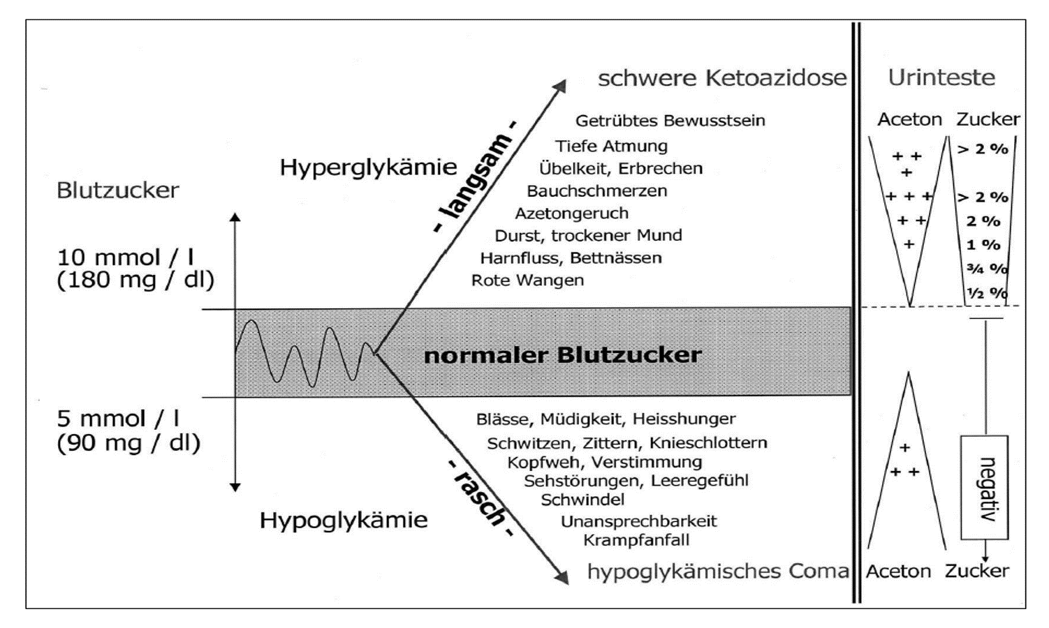 Diabetes Elterninformation Kispi Wiki
